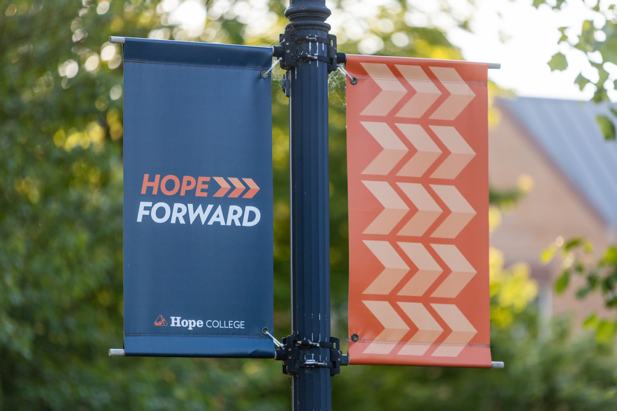 A light pole with Hope College flags attached.